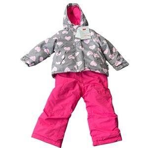 Children's Gray & Pink Heart Winter Jacket and Snow Pants Set